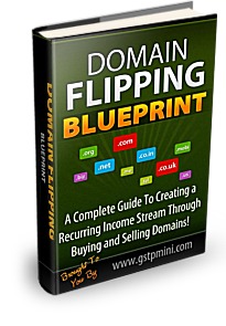 Domain Flipping Blueprint cover1