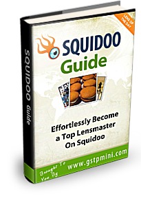 Squidoo Guide Cover