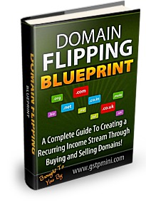 Domain Flipping Blueprint